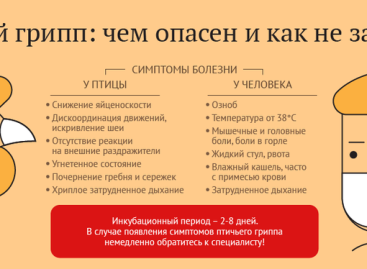 В Семикаракорском районе обнаружен птичий грипп