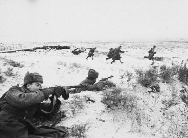 81 год назад Сальск и Сальский район были освобождены от немецко-фашистских захватчиков
