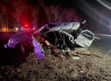В Сальском районе в аварии погибли двое водителей