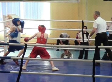 Джеб, кросс, апперкот: первенство РО по боксу проходит в Сальске