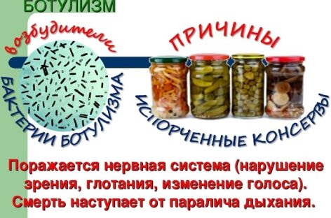 Специалисты Роспотребнадзора в очередной раз предупредили сальчан об опасности ботулизма
