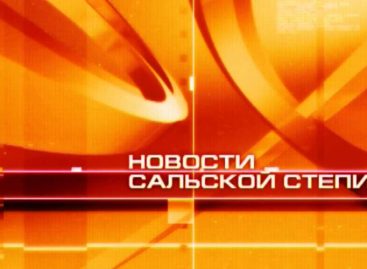 Новости Сальской Степи от 16.02.24