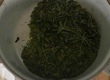 В Лихой транспортные полицейские изъяли из незаконного оборота наркотики в крупном размере