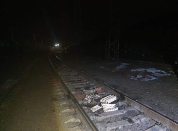 В Лихой транспортные полицейские пресекли кражу на железной дороге