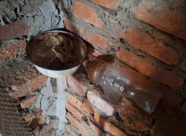 В Сальске транспортные полицейские изъяли из незаконного оборота наркотики в крупном размере