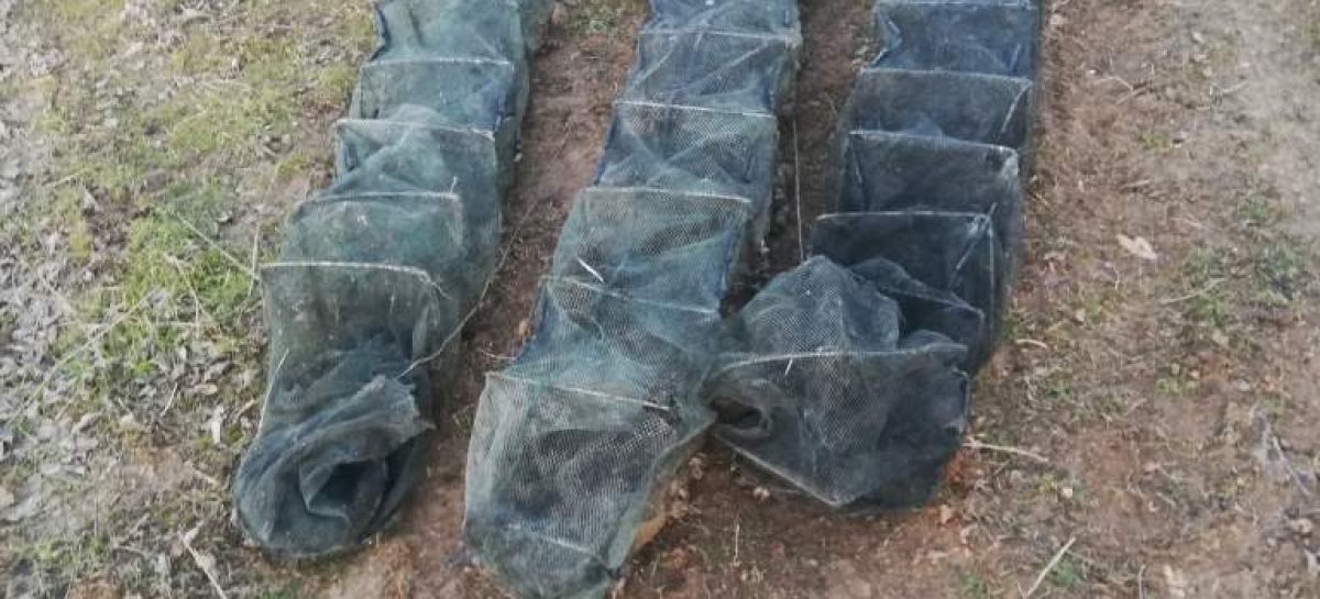 В акватории Пролетарского водохранилища транспортные полицейские пресекли незаконный вылов раков
