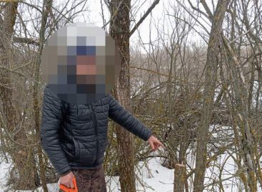В Ростовской области сотрудники транспортной полиции выявили подозреваемого в незаконной рубке лесных насаждений