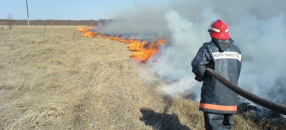 В Сальском районе с наступлением сухой погоды увеличилось количество пожаров