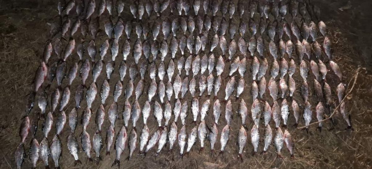В акватории Цимлянского водохранилища транспортными полицейскими пресечена незаконная добыча водных биологических ресурсов