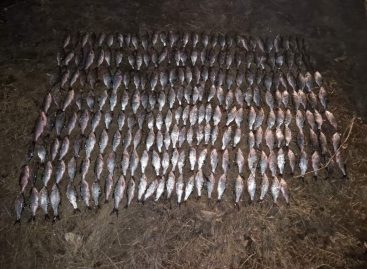 В акватории Цимлянского водохранилища транспортными полицейскими пресечена незаконная добыча водных биологических ресурсов