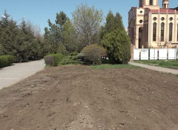 Кому так мешал участок зеленой аллеи в центре города и что построят? Эти  вопросы рассмотрели в городской администрации на рабочем совещании