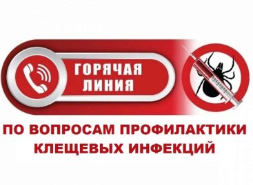 В Сальском районе проведут «горячую линию»