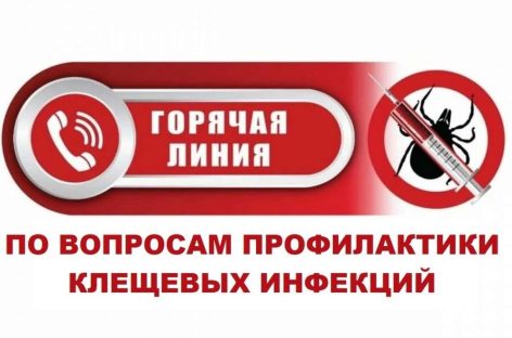 В Сальском районе проведут «горячую линию»