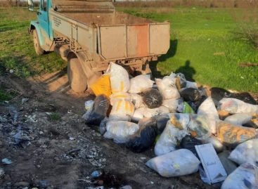 В Сальском районе нарушитель пытался вывезти мусор на грузовике