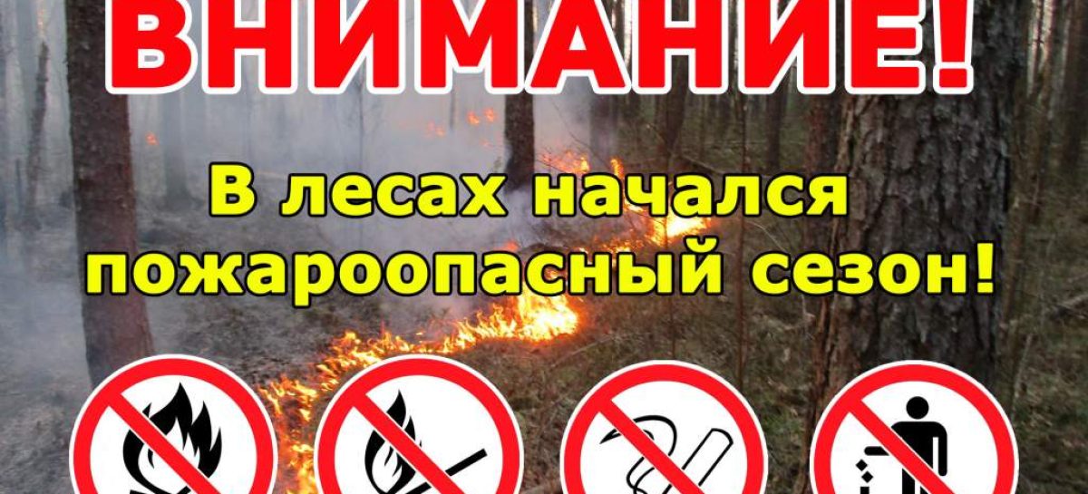 Жителям Сальского района напоминают, что пожароопасный сезон в области действует уже со 2 апреля