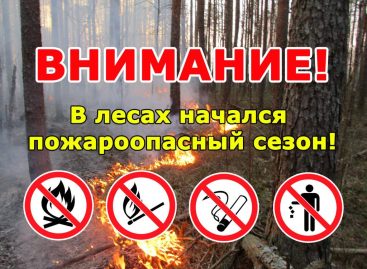 Жителям Сальского района напоминают, что пожароопасный сезон в области действует уже со 2 апреля