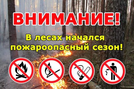 Жителям Сальского района напоминают, что пожароопасный сезон в области действует уже со 2 апреля
