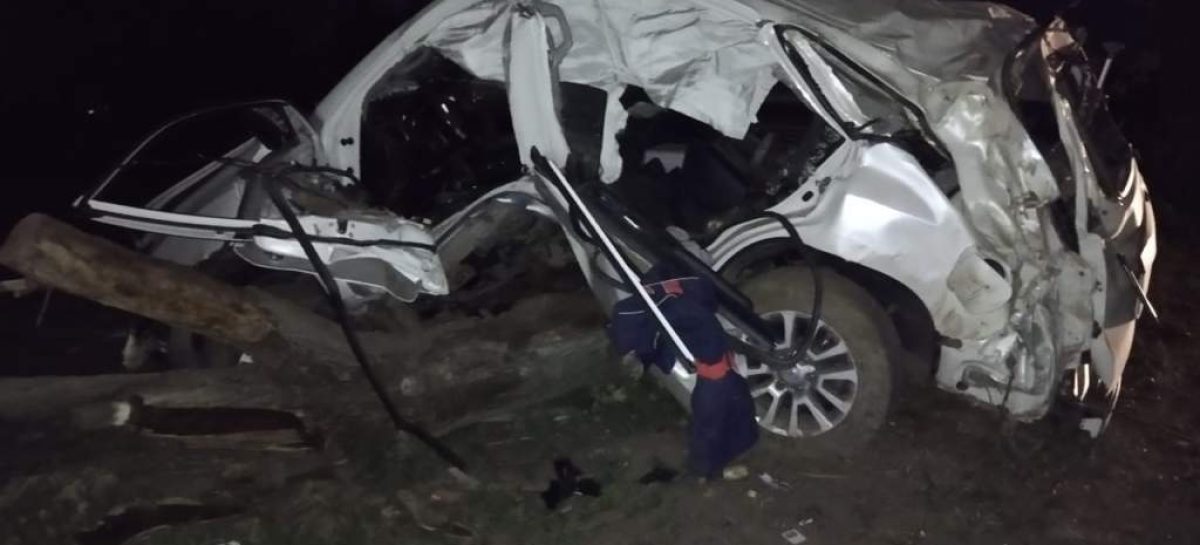 В Сальском районе водитель, совершая обгон, врезался в дерево