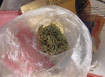 В Шахтах транспортные полицейские изъяли из незаконного оборота наркотические средства