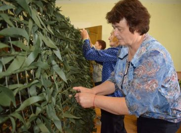 Плетут путь к победе: женщины из микрорайона Капустино сплотились в деле помощи бойцам СВО