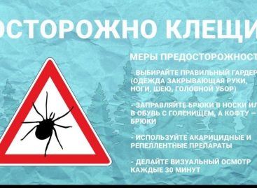 Трое жителей Сальского района госпитализированы с диагнозом  Крымская геморрагическая лихорадка