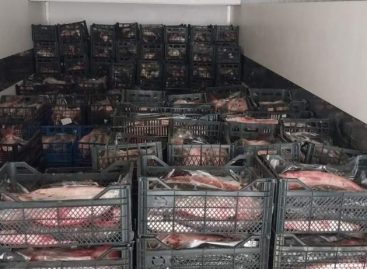 В Таганроге сотрудники транспортной полиции пресекли деятельность трёх подпольных цехов по переработке рыбы