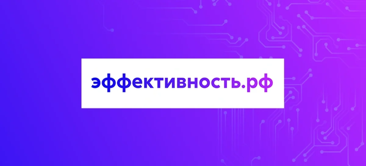 В Ростовской области эффективно работает платформа по цифровизации бизнеса «Эффективность.рф»