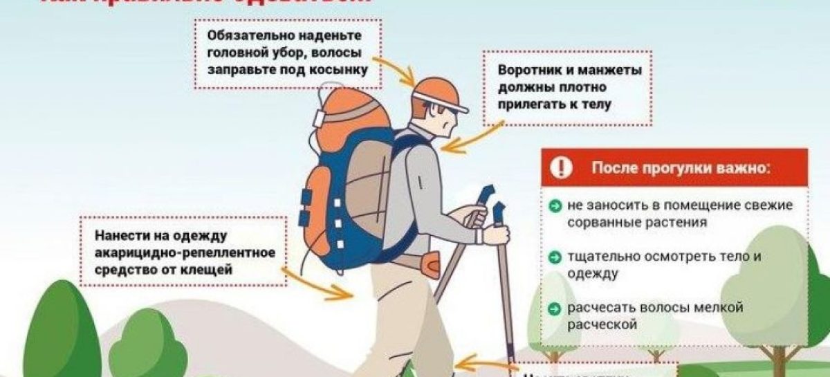 Жителям Сальского и соседних районов вновь напоминают об опасности укусов клещей