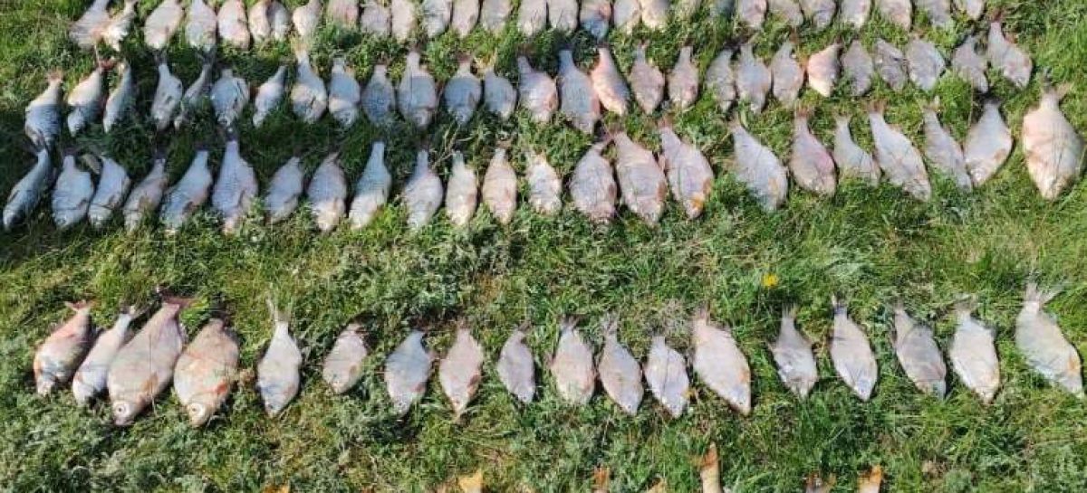 В акватории Веселовского водохранилища транспортные полицейские пресекли незаконный вылов биоресурсов