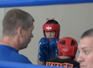 В Сальске на сборах: юношеская команда  ЮФО по боксу готовится к летней спартакиаде