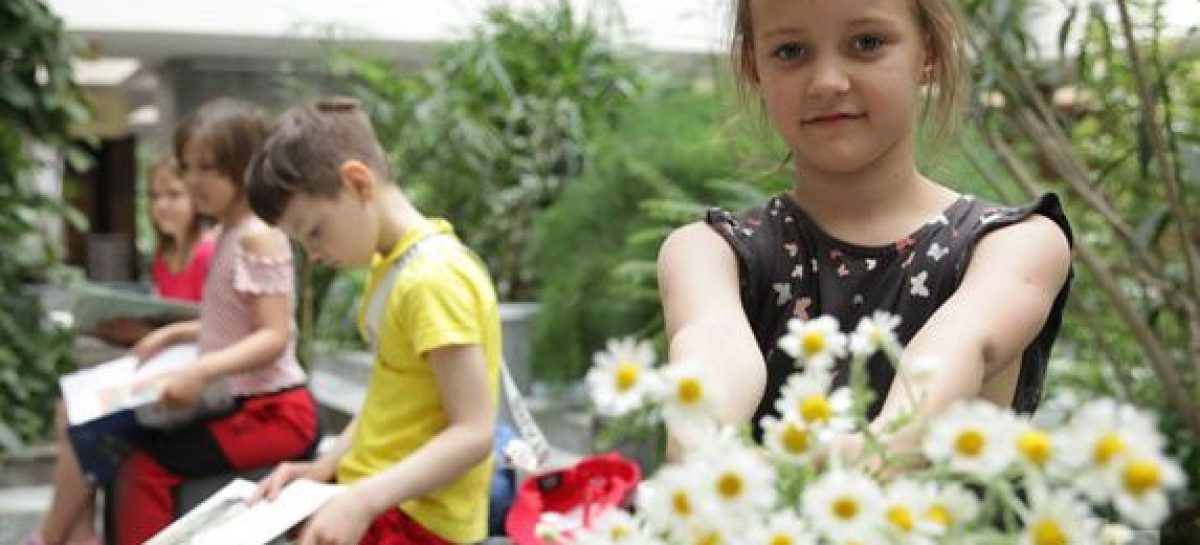 Как  учреждения культуры на Дону отметят День семьи, любви и верности
