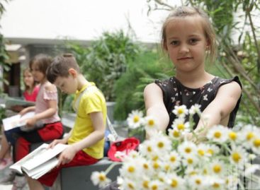 Как  учреждения культуры на Дону отметят День семьи, любви и верности