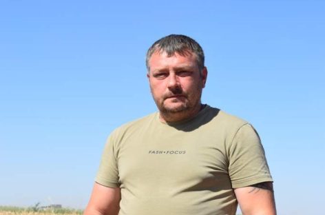 Жатва радует южан: в Сальском районе продолжается хлебоуборка