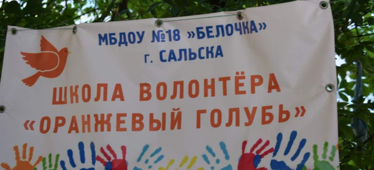 В детском саду № 18 «Белочка» встретились юные добровольцы, их родители и взрослые волонтёры