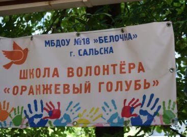 В детском саду № 18 «Белочка» встретились юные добровольцы, их родители и взрослые волонтёры