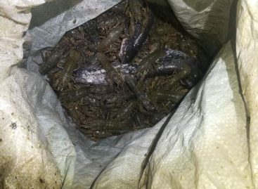 На Маныче сотрудники транспортной полиции пресекли незаконный вылов рыбы на обслуживаемой территории