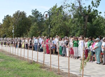 Герои не умирают: в парке культуры и отдыха Сальска открылась выставка в память о погибших участниках СВО