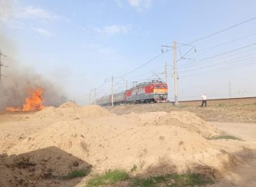 В Сальске, в опасной близости к лесхозу, горела сухая трава