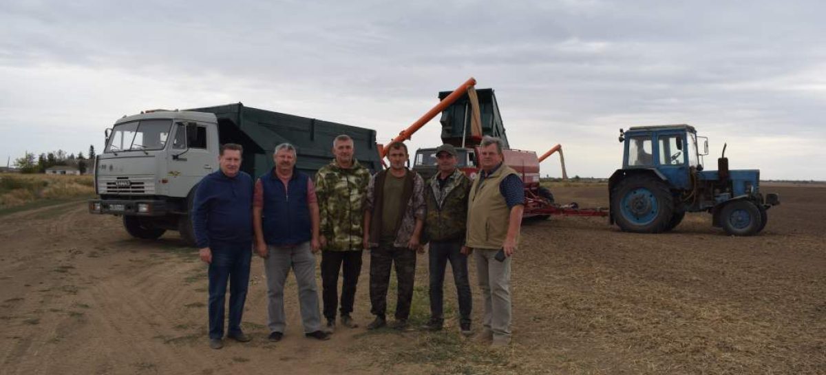 Посевная осень «Руси»: в Сальском районе стартовал сев озимых культур