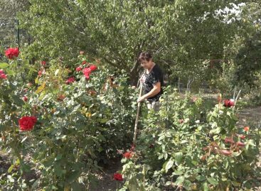 Кому из 20 участников улыбнется фортуна? Стартовал городской конкурс по благоустройству
