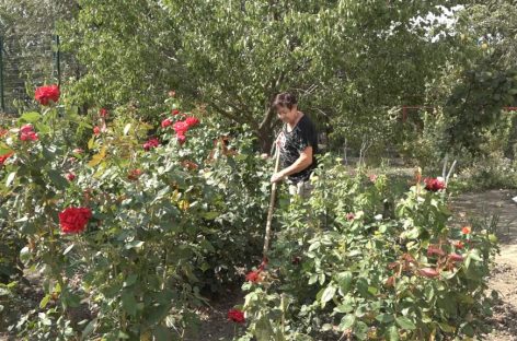 Кому из 20 участников улыбнется фортуна? Стартовал городской конкурс по благоустройству