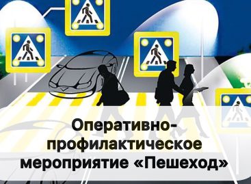 В Сальском районе идёт операция «Пешеход»
