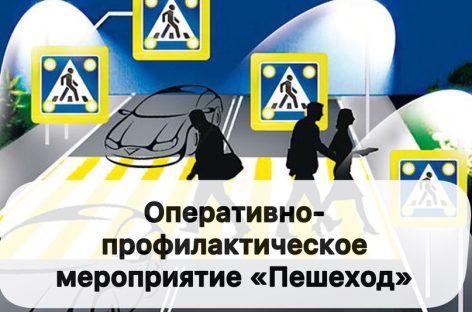 В Сальском районе идёт операция «Пешеход»