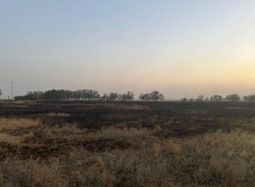 В Сальском районе разгорелся серьёзный ландшафтный пожар
