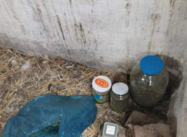 В Сальске транспортные полицейские выявили мужчину, подозреваемого в хранении наркотиков