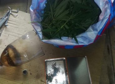 В Ростовской области в рамках оперативно-профилактического мероприятия «Мак» транспортные полицейские изъяли наркотики в крупном размере