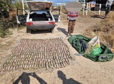 В акватории Цимлянского водохранилища транспортные полицейские пресекли незаконный вылов рыбы