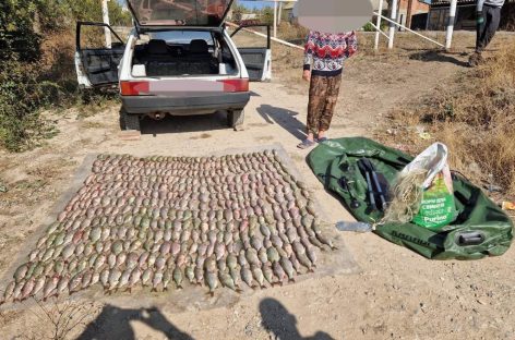В акватории Цимлянского водохранилища транспортные полицейские пресекли незаконный вылов рыбы