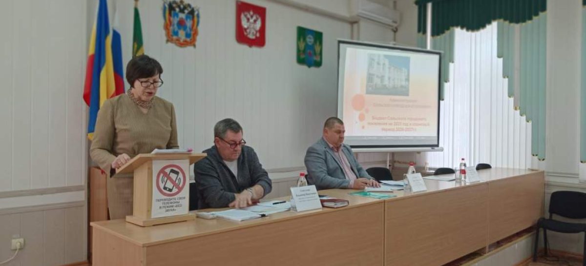 Собранию депутатов Сальского городского поселения представлен проект бюджета города на 2025-2027 годы