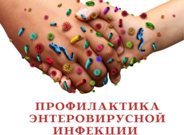Жителям Сальского района напомнили об опасности энтеровирусной инфекции